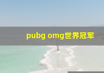 pubg omg世界冠军